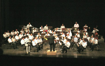 Associazione Banda Musicale "Luigi Canepa"